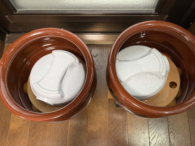 26.6.15-4日後梅
