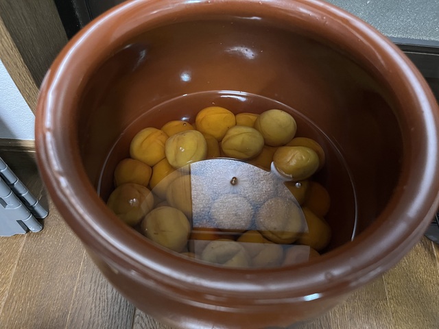 26.7.3-5伯方の塩